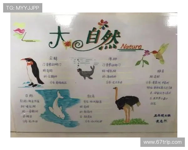 Elk射手:探寻大自然中的秘密 Elk射手:探寻大自然中的秘密