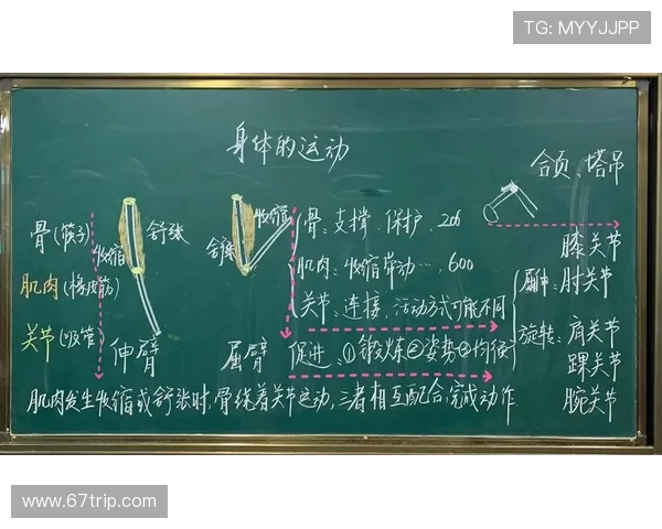 全方位探讨运动对身体健康的积极影响与科学训练方法 全方位探讨运动对身体健康的积极影响与科学训练方法