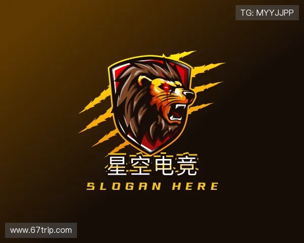 介绍星空电竞官网